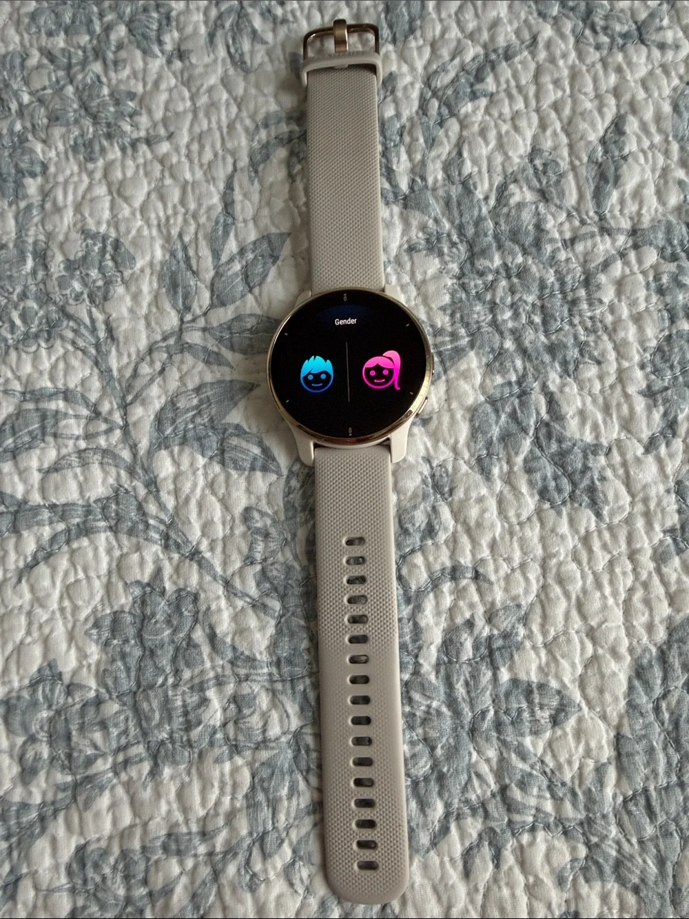 garmin Venu 2 Plus Smartwatch - Light Sand/Gold